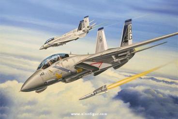 F-14B Tomcat 