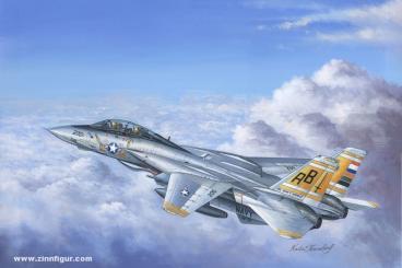 F-14A Tomcat 