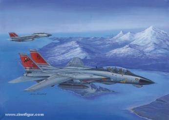 F-14D Super Tomcat 