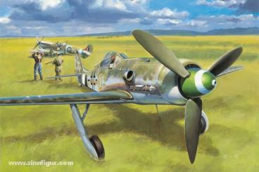 Focke Wulf Fw 190D-13 