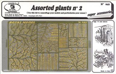 Assorted plants n.2 