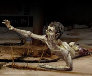 Zombie avec la moitié du corps 