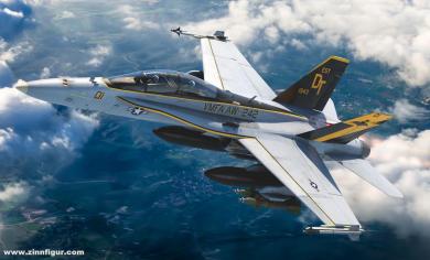 F/A-18D Hornet "VMFA(AW)-242 Bats" (en anglais) 