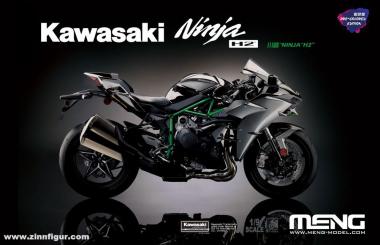Kawasaki Ninja H2 - vorgefärbte Edition 