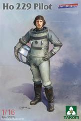 Ho 229 Pilote 