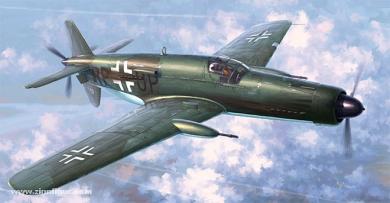 Do 335B-2 "Zerstörer" 