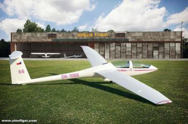 DG-1000S Glider "AKVY" 
