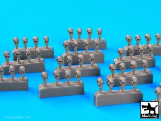 Skulls - 56 pieces 