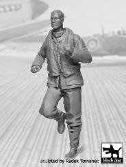 RAF Fighter Pilot 1940-45 