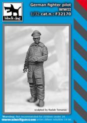 German Fighter Pilot WWII 