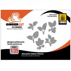 1/35 Plantes Alocasia Odora (6 pièces) 