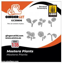 1/35 Plantes de mostera (6 pièces) 