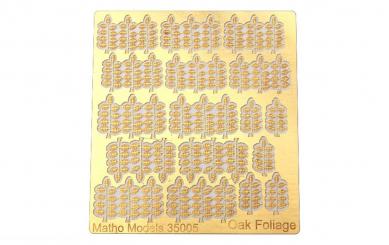 Feuilles de chêne 