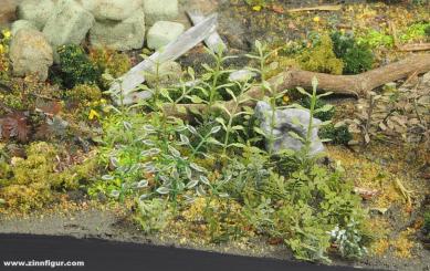Set de plantes B 