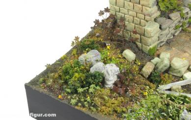 Set de plantes D 