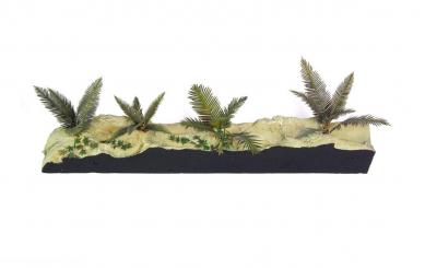 Plantes de la jungle A 