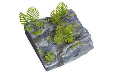 Plantes de la jungle D 
