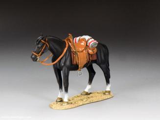 Standing 'Black' Horse 