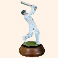 Kricket player 