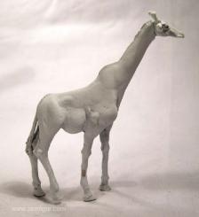 Giraffe 