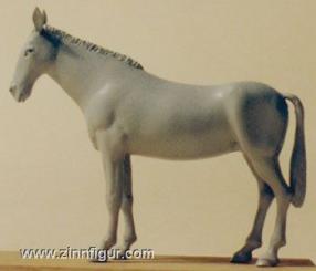 Mule 