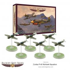 P-40 Warhawk Squadron 