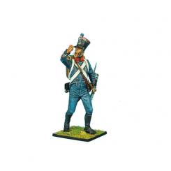 Chasseur Sergeant Major 