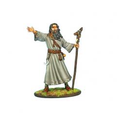 Gallic Druid 