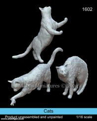 Chats 