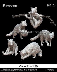 Animaux Set 65 : Ratons laveurs 