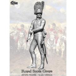 Royal Scots Greys - 100 mm 