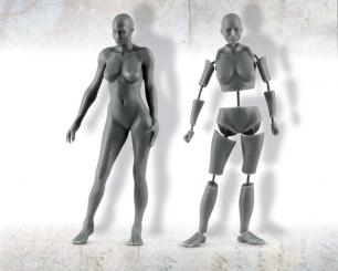 Anatomy Female 75mm 