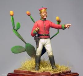 Officer, Dunne's Brigade 