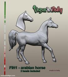 Cheval - Arabe 