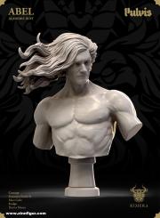 Abel Bust - Anatomic Version 