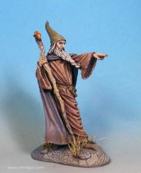 Sturm - Male Wizard with Staff 