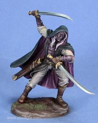 Guerrier elfe noir 