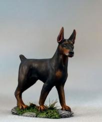 Dobermann chien 