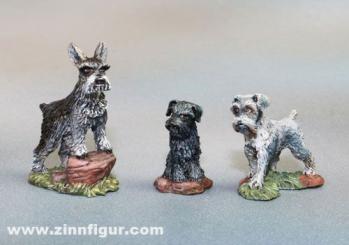 Miniature Schnauzer Dogs x 3 