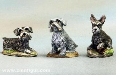 Miniature Schnauzers #2 - 3 Pack 
