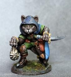 Asha - Cat Rogue 