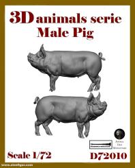 Porc (verrat) 