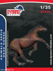 Cheval mort 