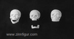 Skulls (3) 
