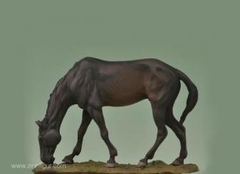 Grasendes Pferd 