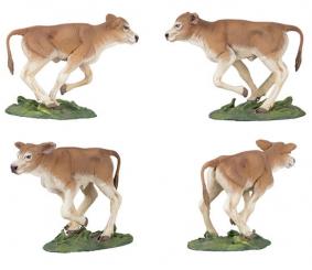 Calf 