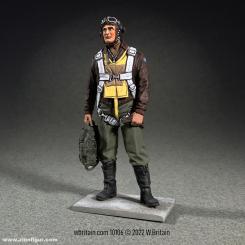 USAAF Fighter Pilot - 1943-45 