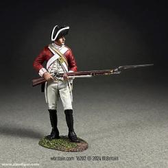Mousquetaire, défendant - 43rd Regiment of Foot 