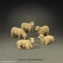 Flock of Sheep 