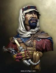 Arabian Marauder 